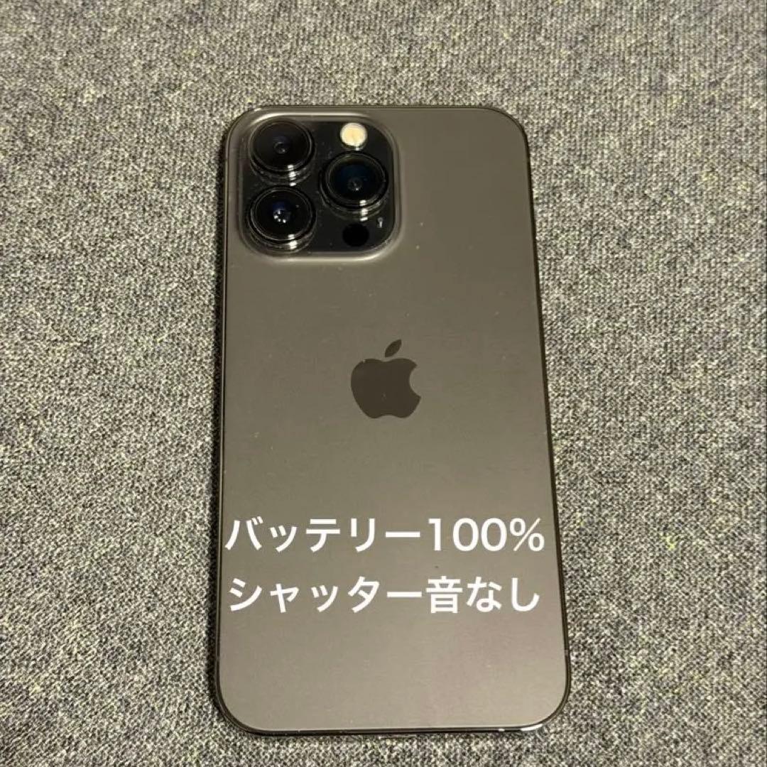 バッテリー100% シャッター音なし iPhone 13 Pro 128GB