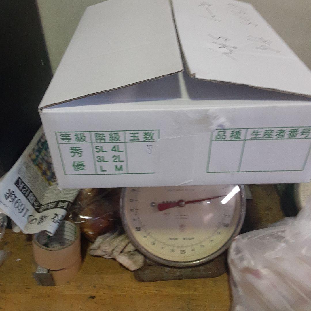 沖縄県産♪キーツマンゴー6㎏③