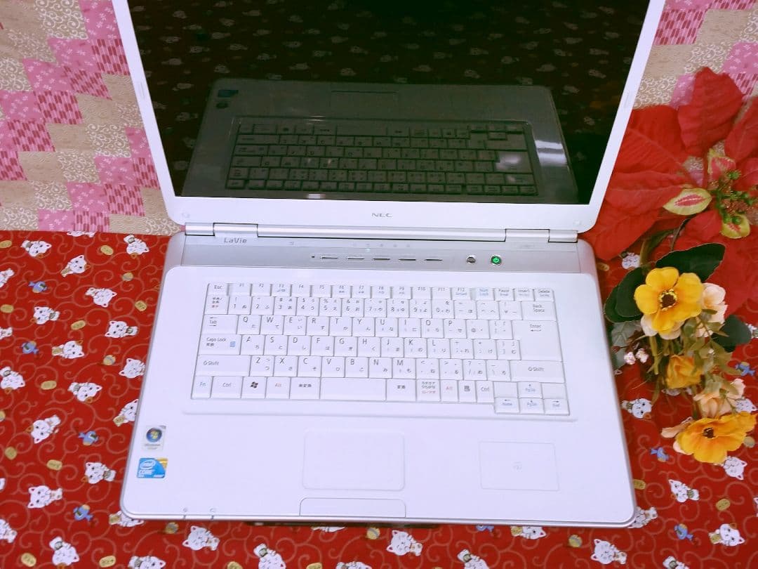 NEC LAVIE/HDD大容量320GBを搭載！動画&画像編集/最新Win10