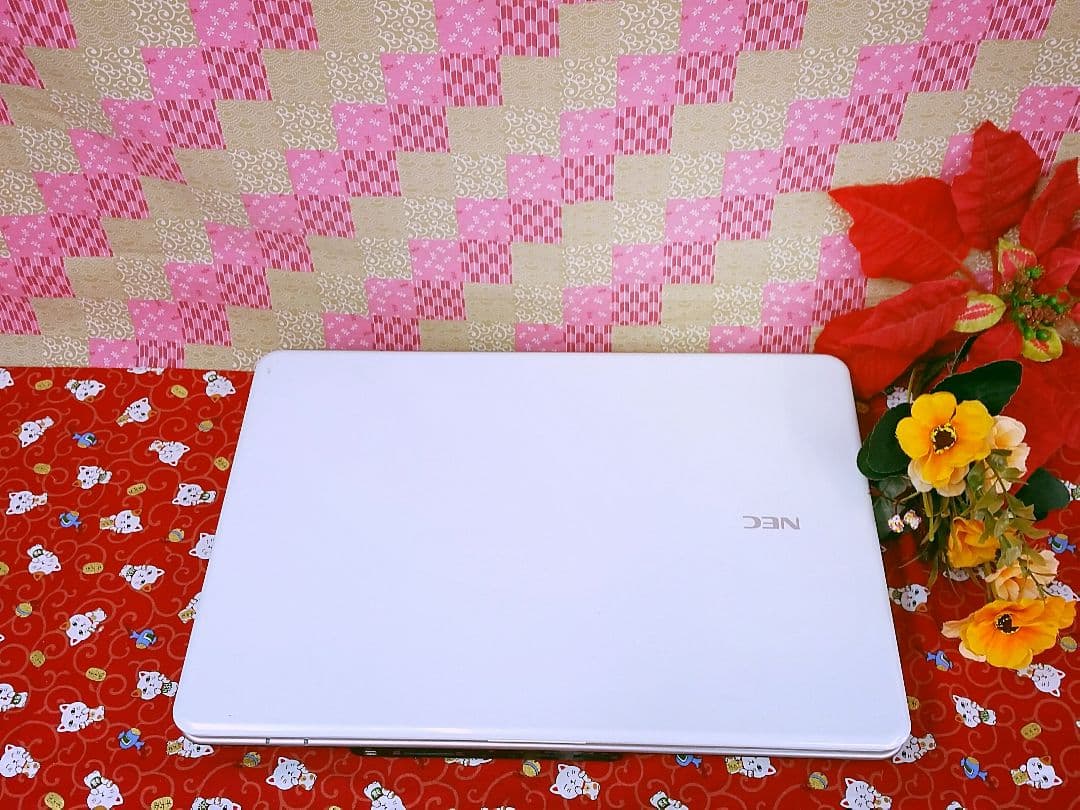 NEC LAVIE/HDD大容量320GBを搭載！動画&画像編集/最新Win10