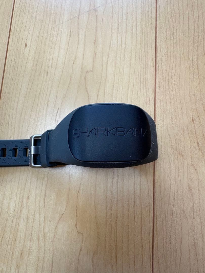 SHARK BANZ 2 SLATE-AZURE｜シャークバンズ