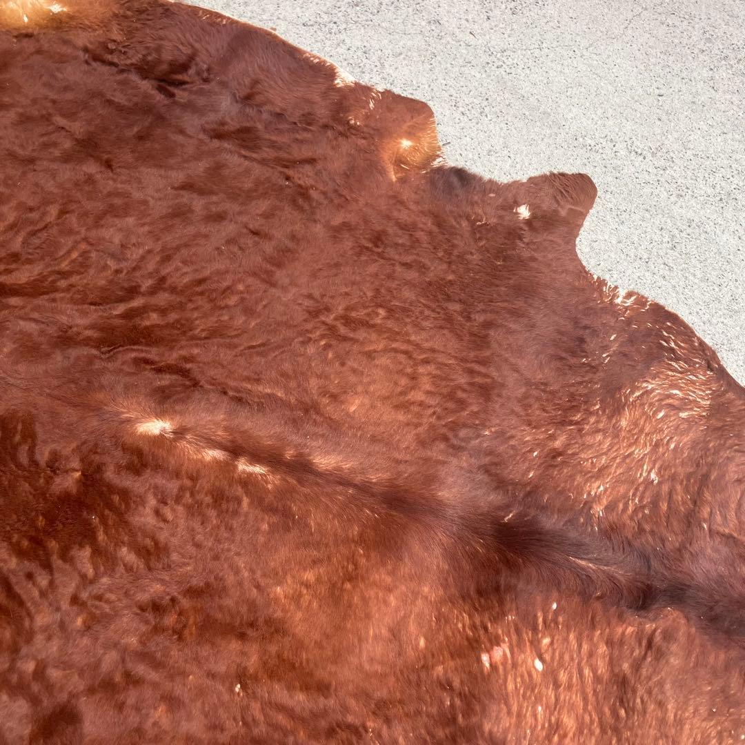 ヴィンテージ 大型 カウラグ 牛毛皮 敷物 絨毯 ラグマット アンティーク古道具