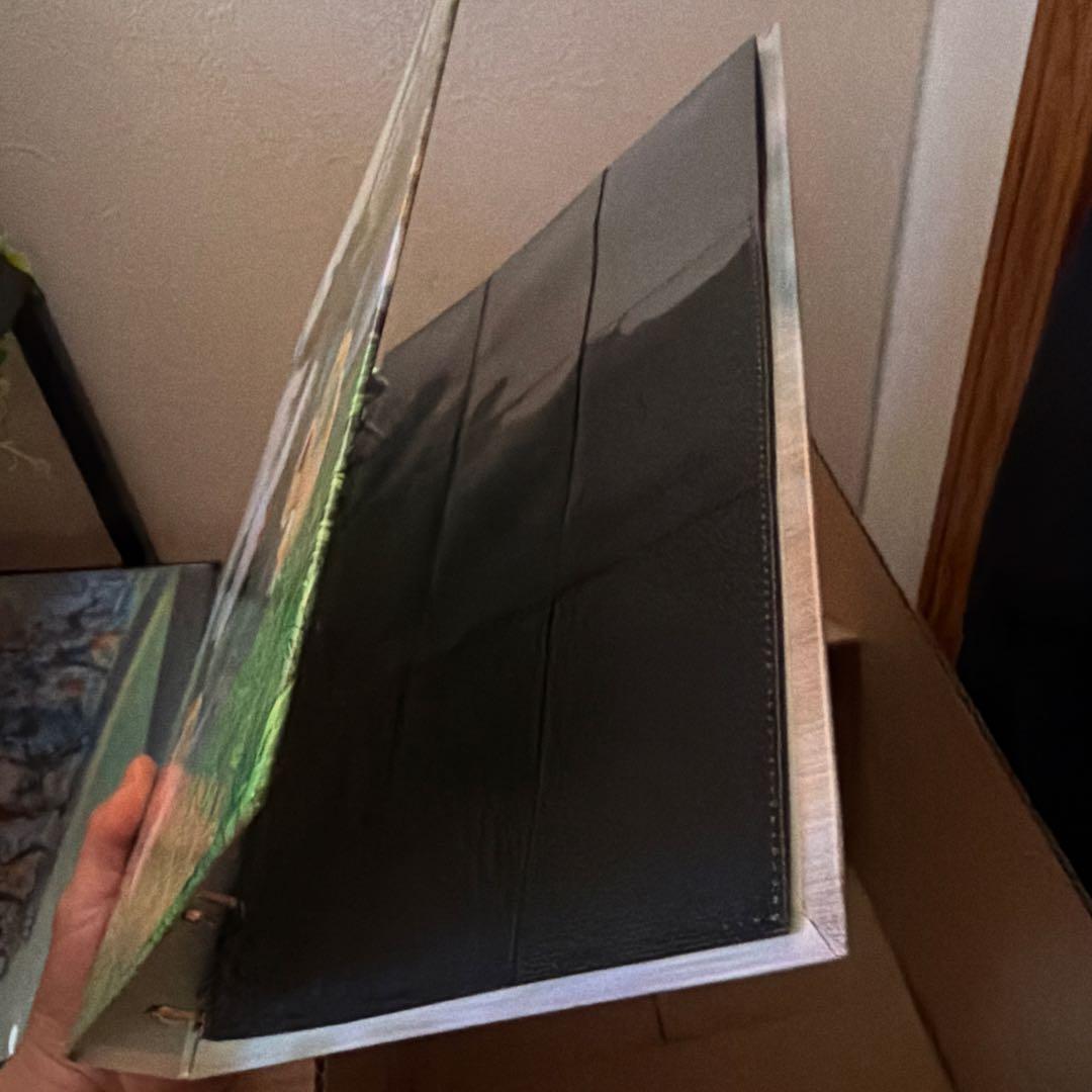 ポケカ　メガリザードンX ex SAR　110/080　即日発送おまけ豪華