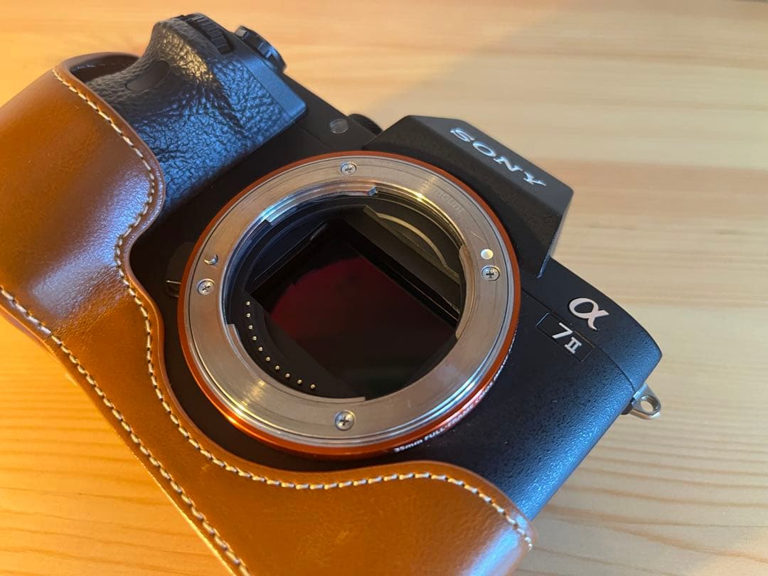 SONY α7II ボディ美品　シャッター数17732回