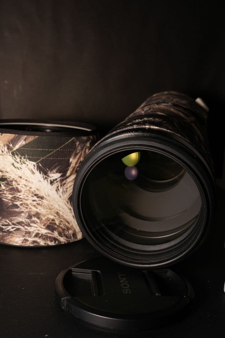 Sony FE 200-600mm F5.6-6.3 G OSS ズームレンズ