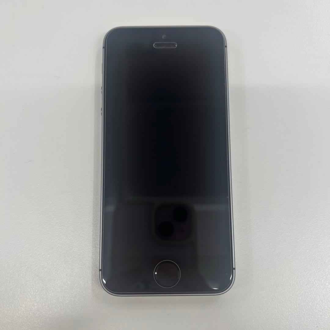 Apple iPhone SE シルバー 本体 Spigenケース、付属品付き