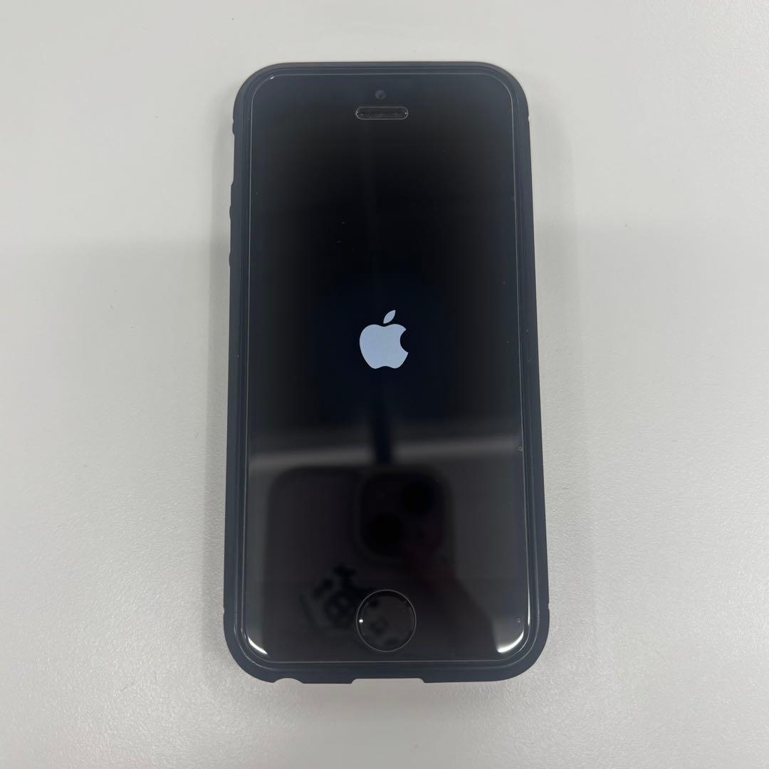 Apple iPhone SE シルバー 本体 Spigenケース、付属品付き