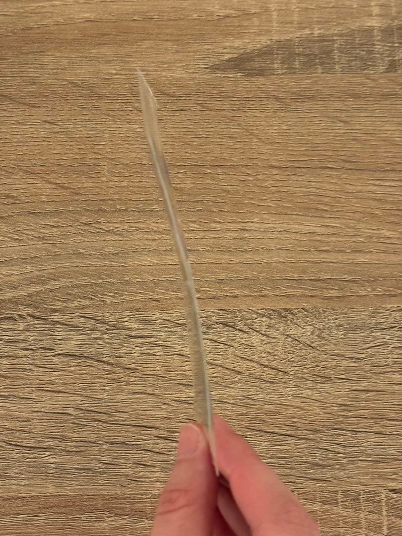 【未開封】ポケモンカード 黒いレックウザ プロモ 特典 ポケモン＋ノブナガの野望