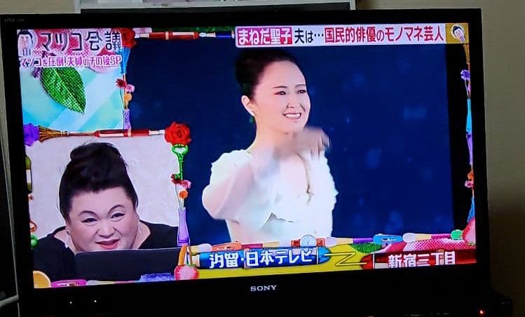 SONY BRAVIA テレビ