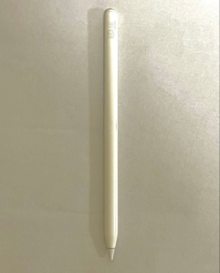 【Elin】Apple iPad pro(第2世代) 11インチ128GB