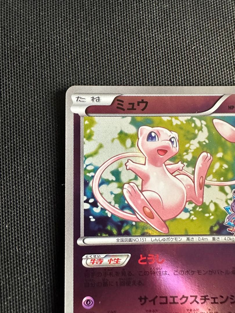 ミュウ PROMO BW-Pプロモカード 220/BW-P