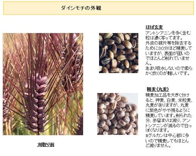 国産もち麦（ダイシモチ）2023年産　アラカルト