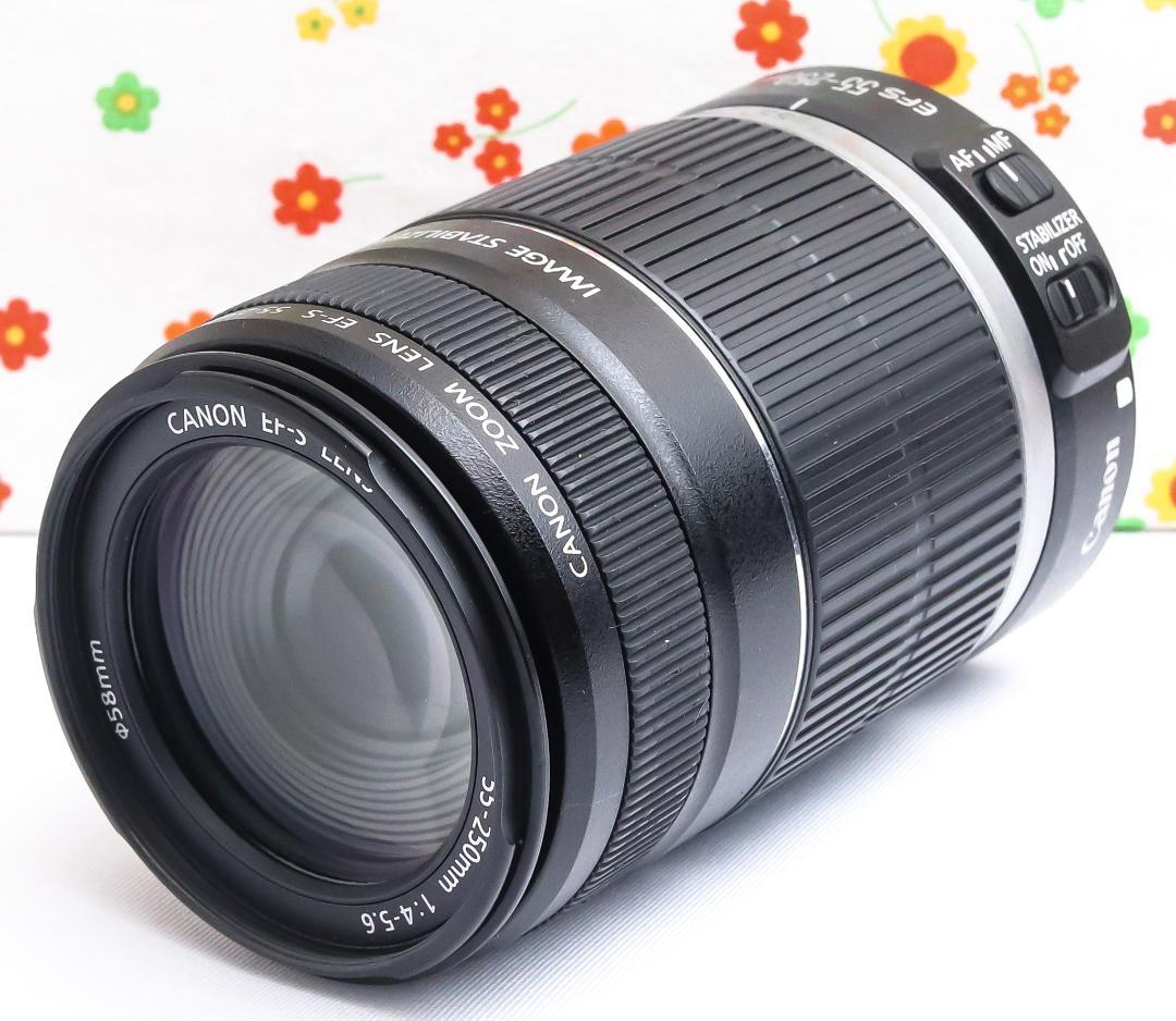 キャノン Canon EF-S 55-250mm IS☆お手軽望遠レンズ♪