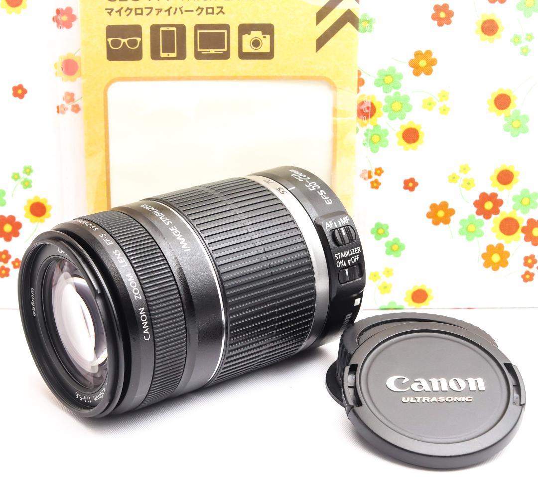 キャノン Canon EF-S 55-250mm IS☆お手軽望遠レンズ♪