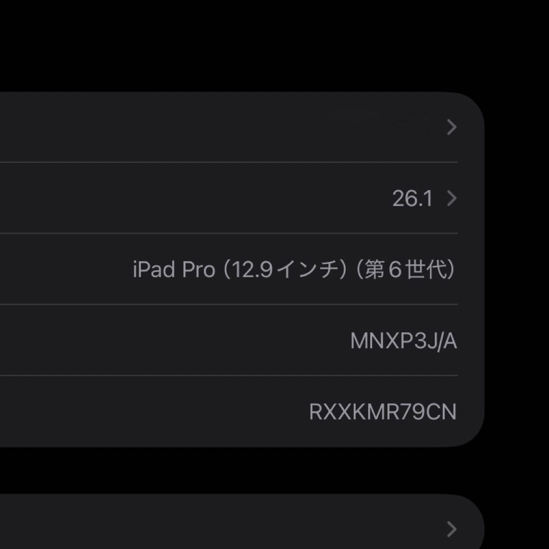 M2 iPad Pro 12.9インチ 128GB 第6世代 スペースグレイ