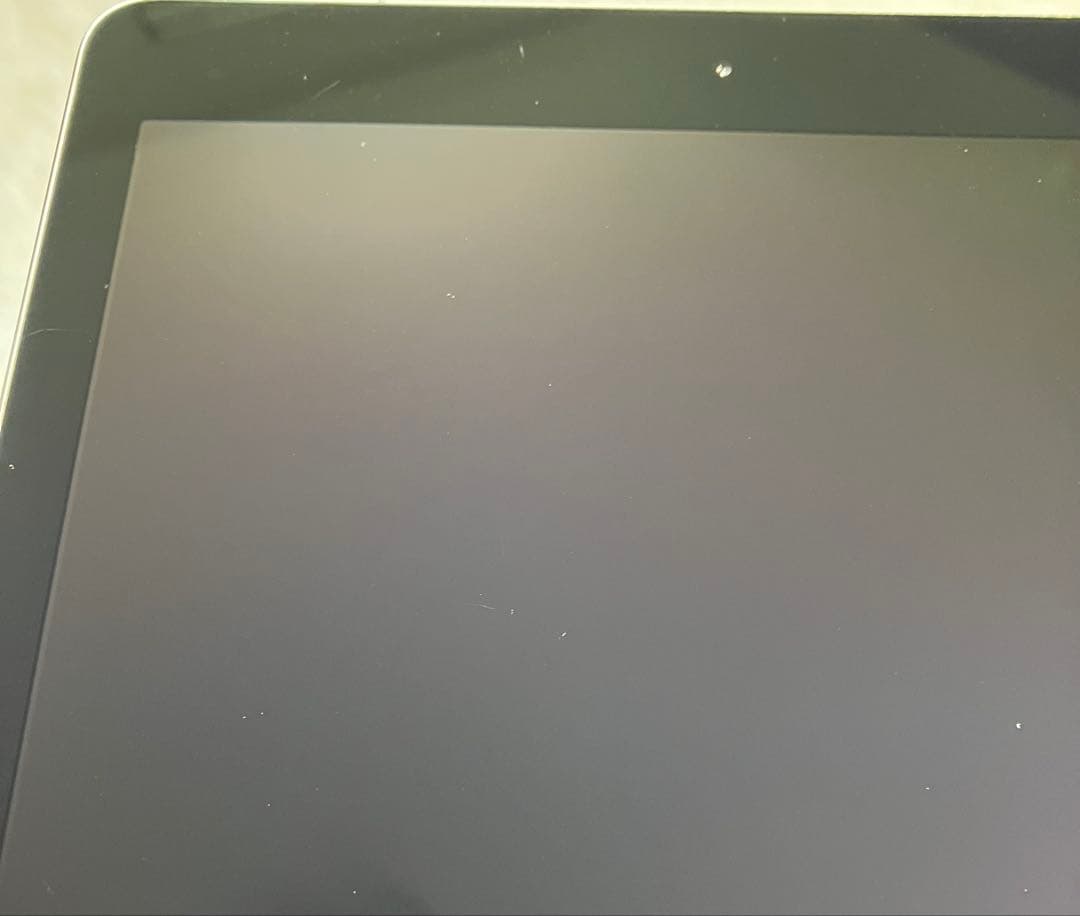 【完動品】iPad Pro 9.7 128GB SIMフリー 【発送】【付属品】