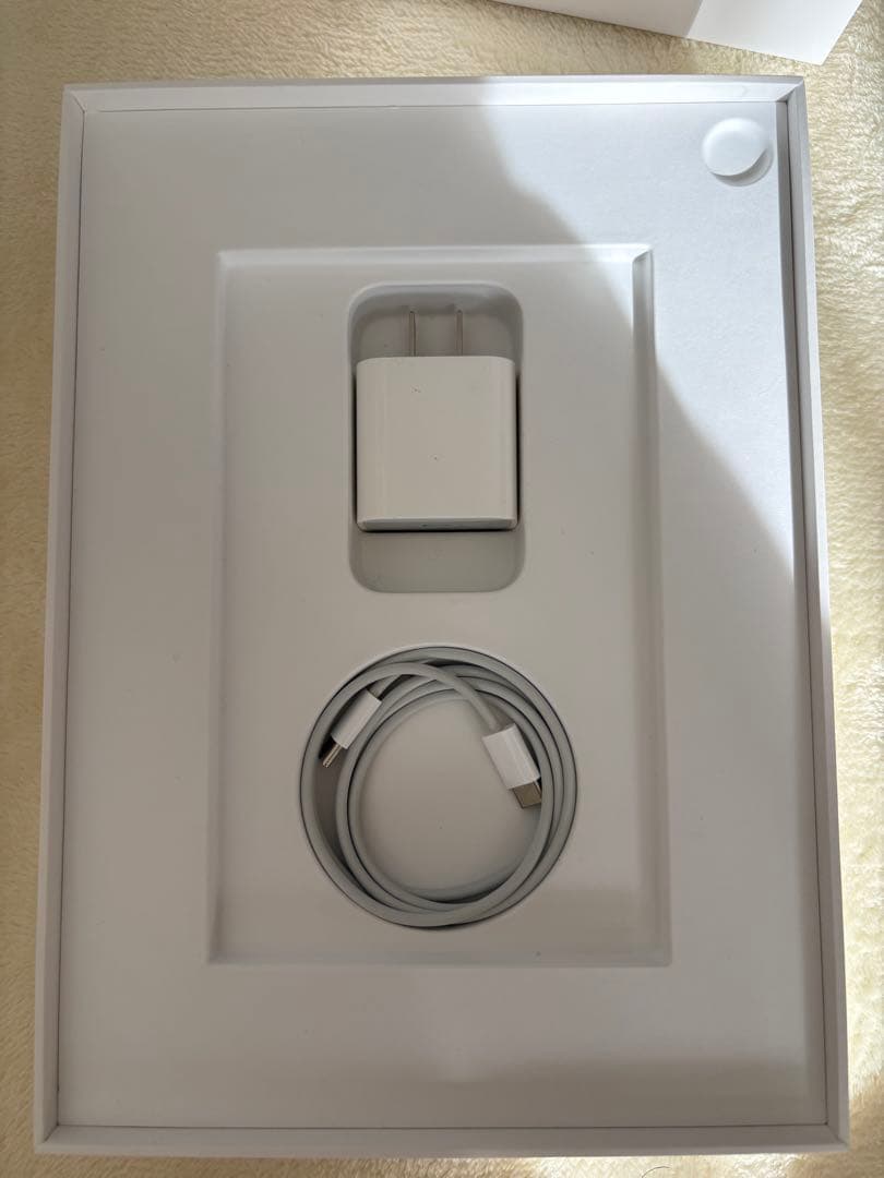 Apple iPad Air シルバー 本体