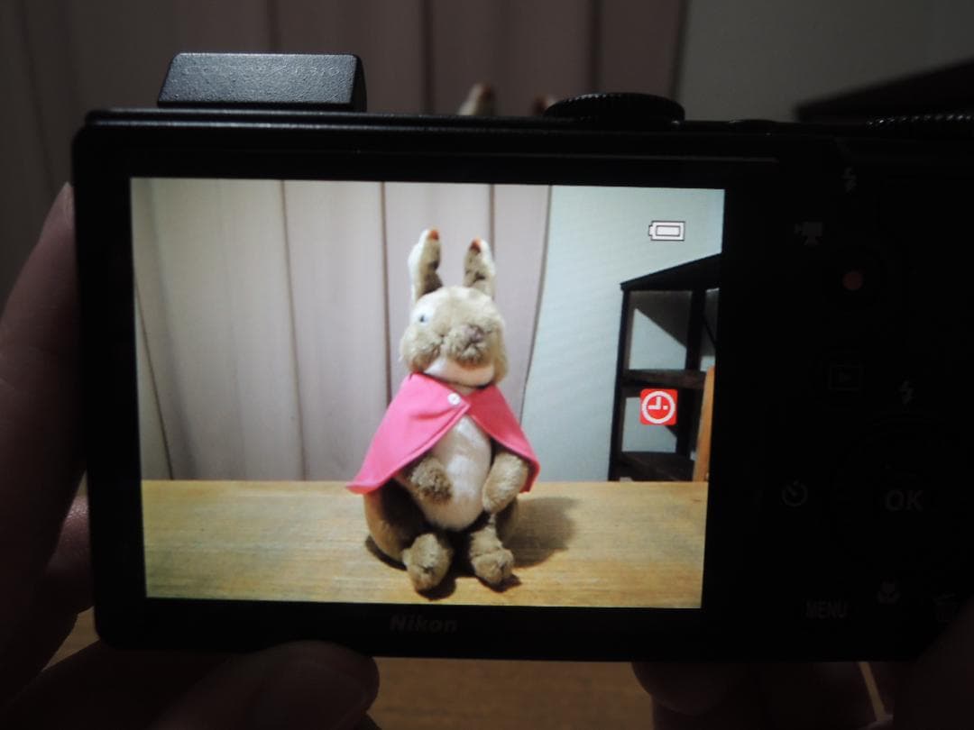 nikon ニコン coolpix p310（訳あり）