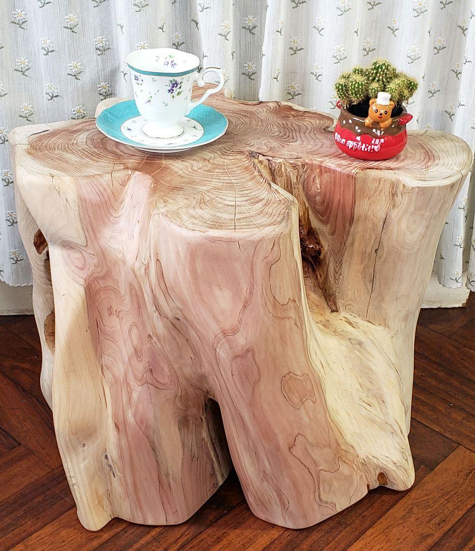 貝塚伊吹希少サイズ丸太