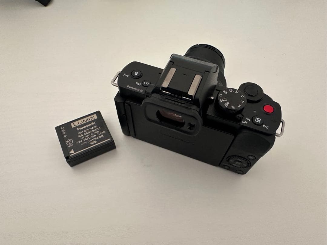 デジタルカメラ LUMIX DC-G100V