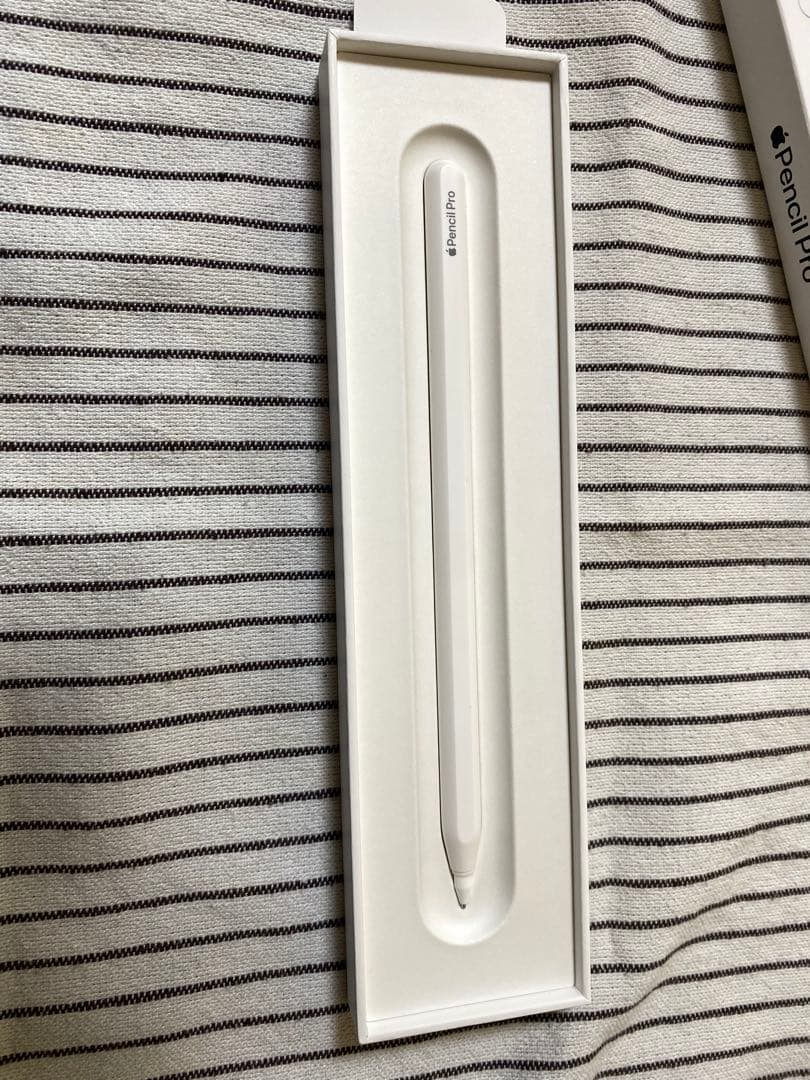 Apple Pencil Pro ホワイト　ペン先無し
