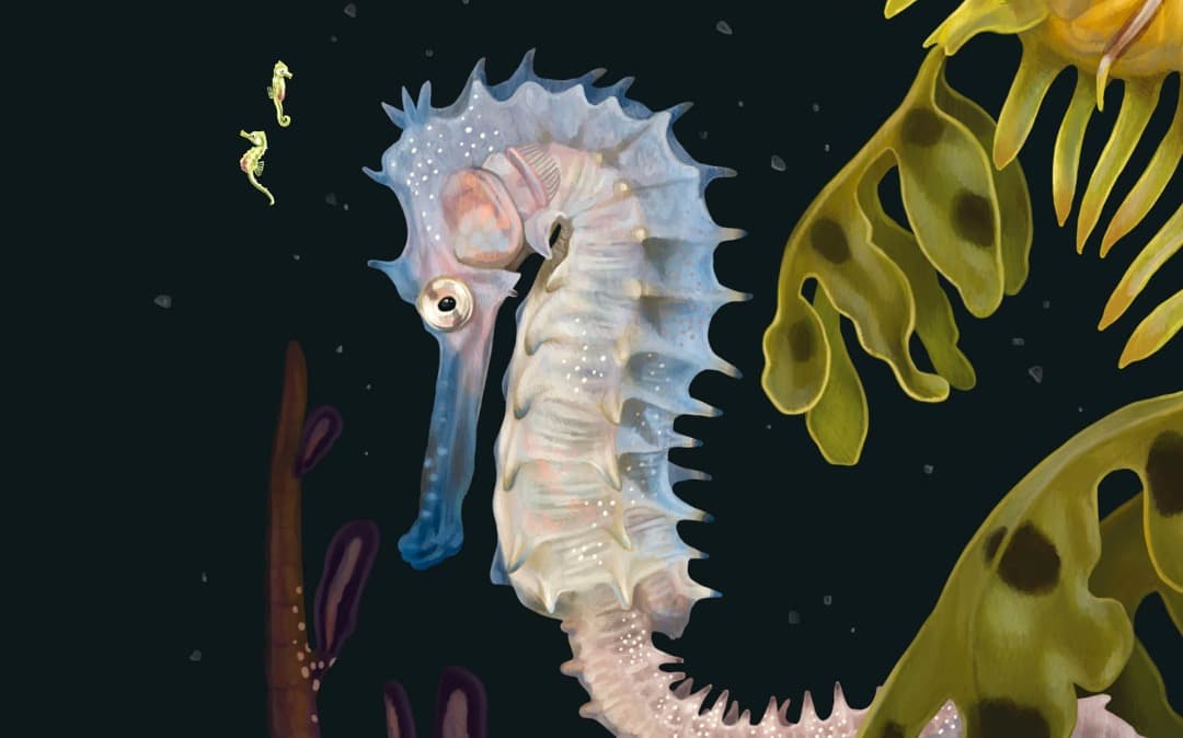 K*様 Zoe Keller 版画