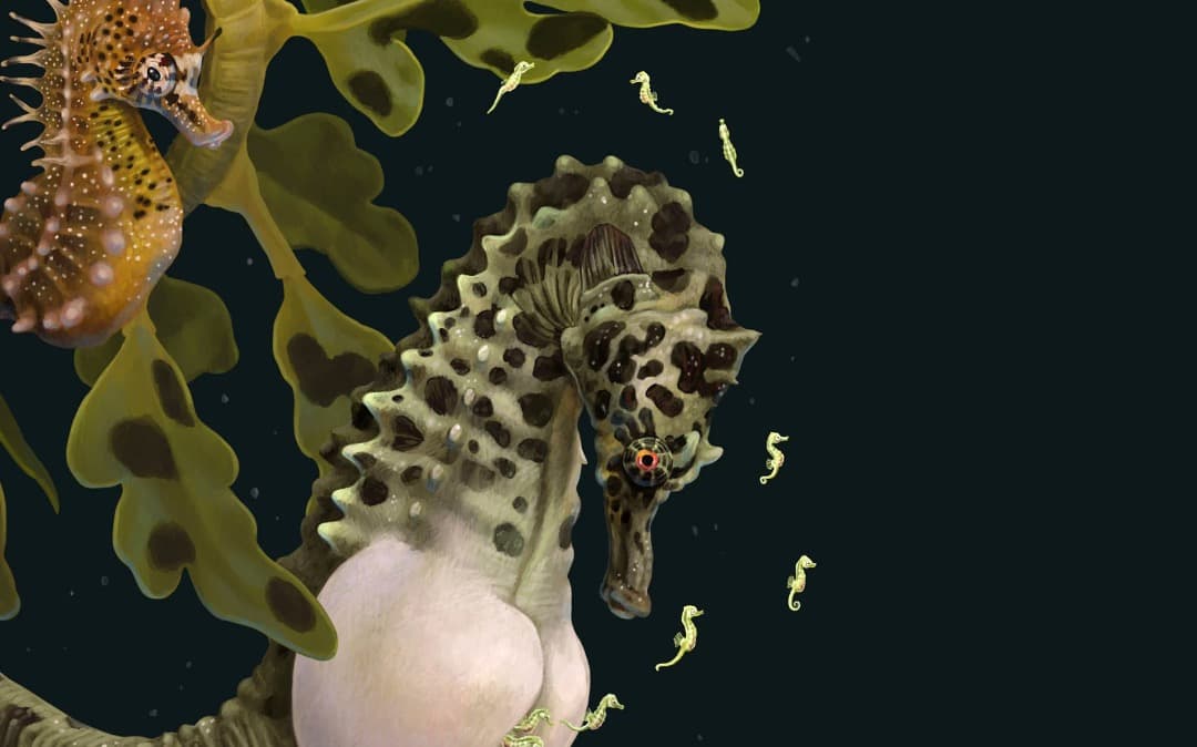 K*様 Zoe Keller 版画