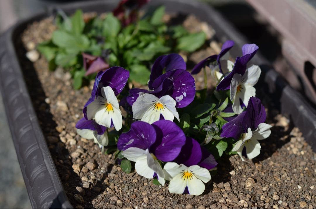 m.k.iさん専用『訳あり美品』Nikon D5100 デジタル一眼レフカメラ