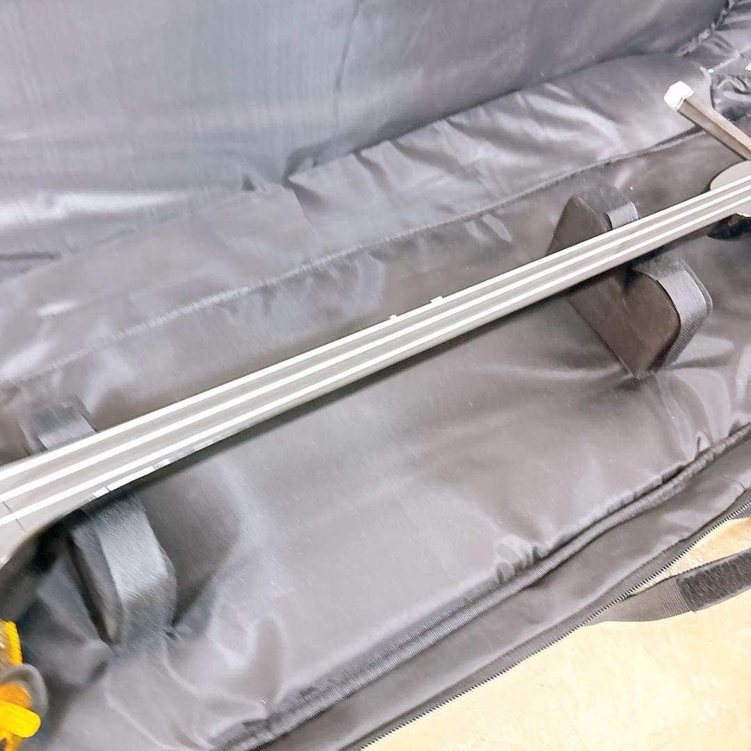 沖縄三線 本蛇革 ケース付き 初心者 入門 蛇皮 本革