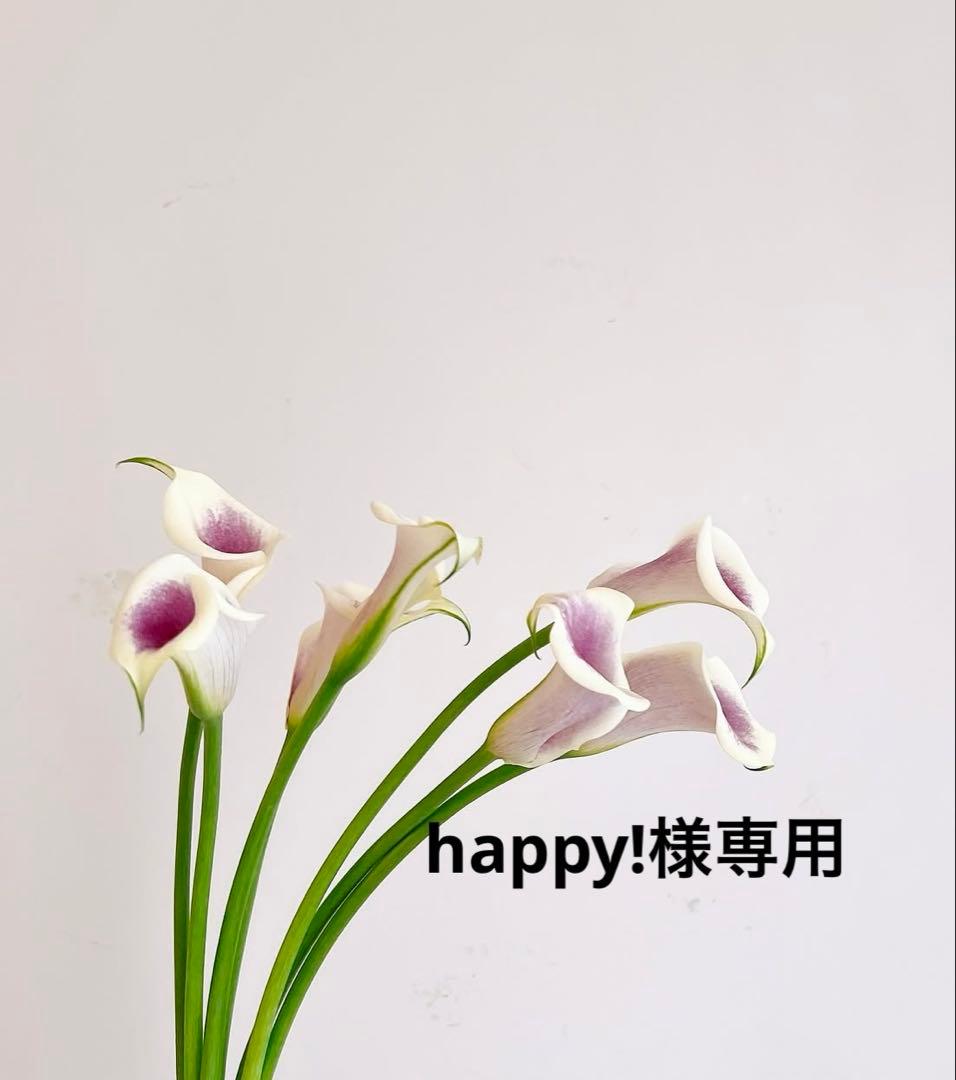 happy!　クレンザー　ハイドロ