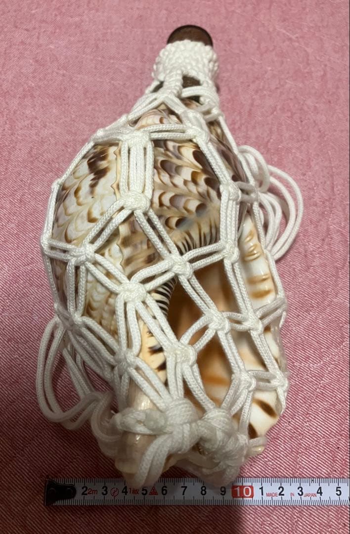 大*1様 法螺貝　骨董品　縁起物　和楽器