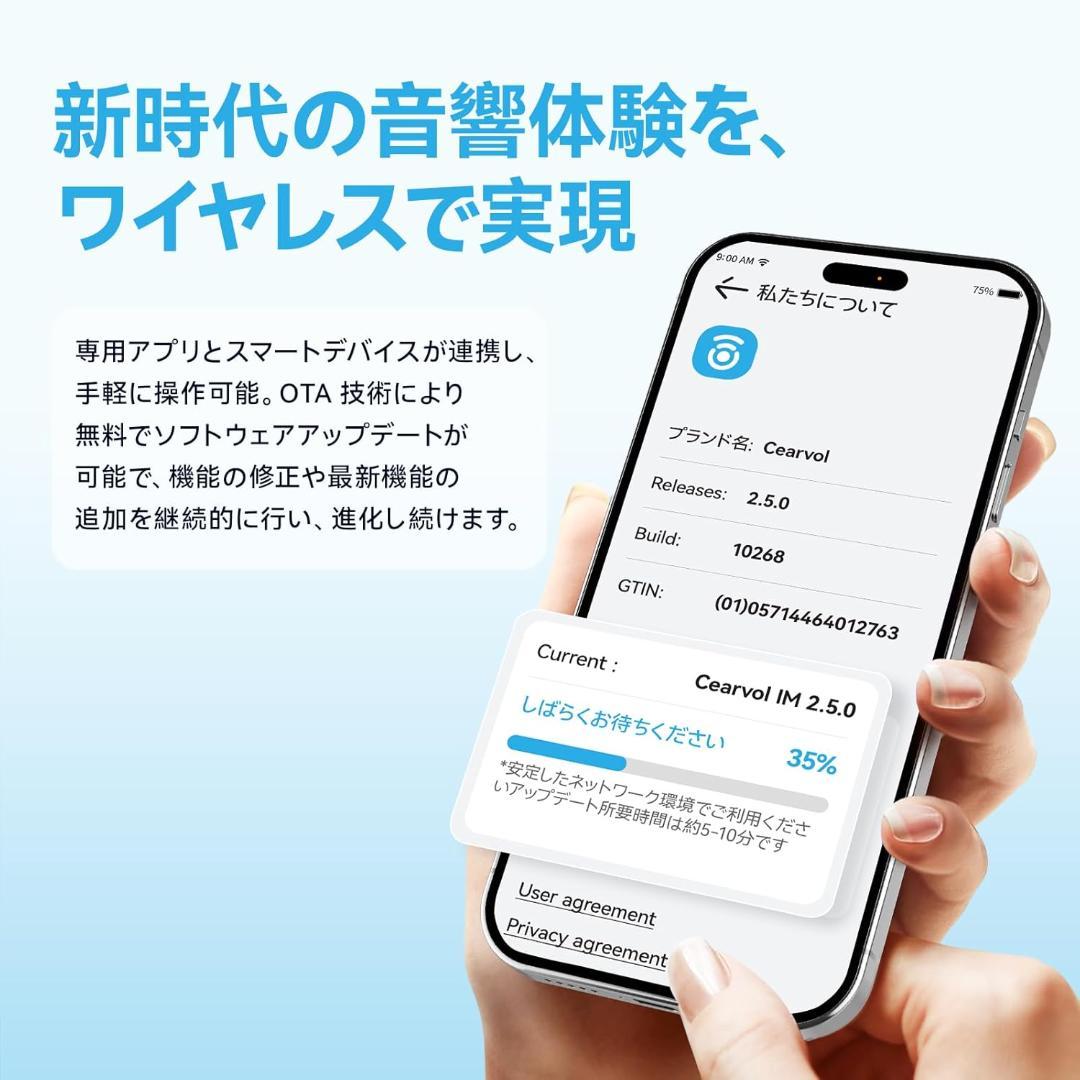 集音器 Bluetooth5.3 ワイヤレスイヤホン型 高齢者向