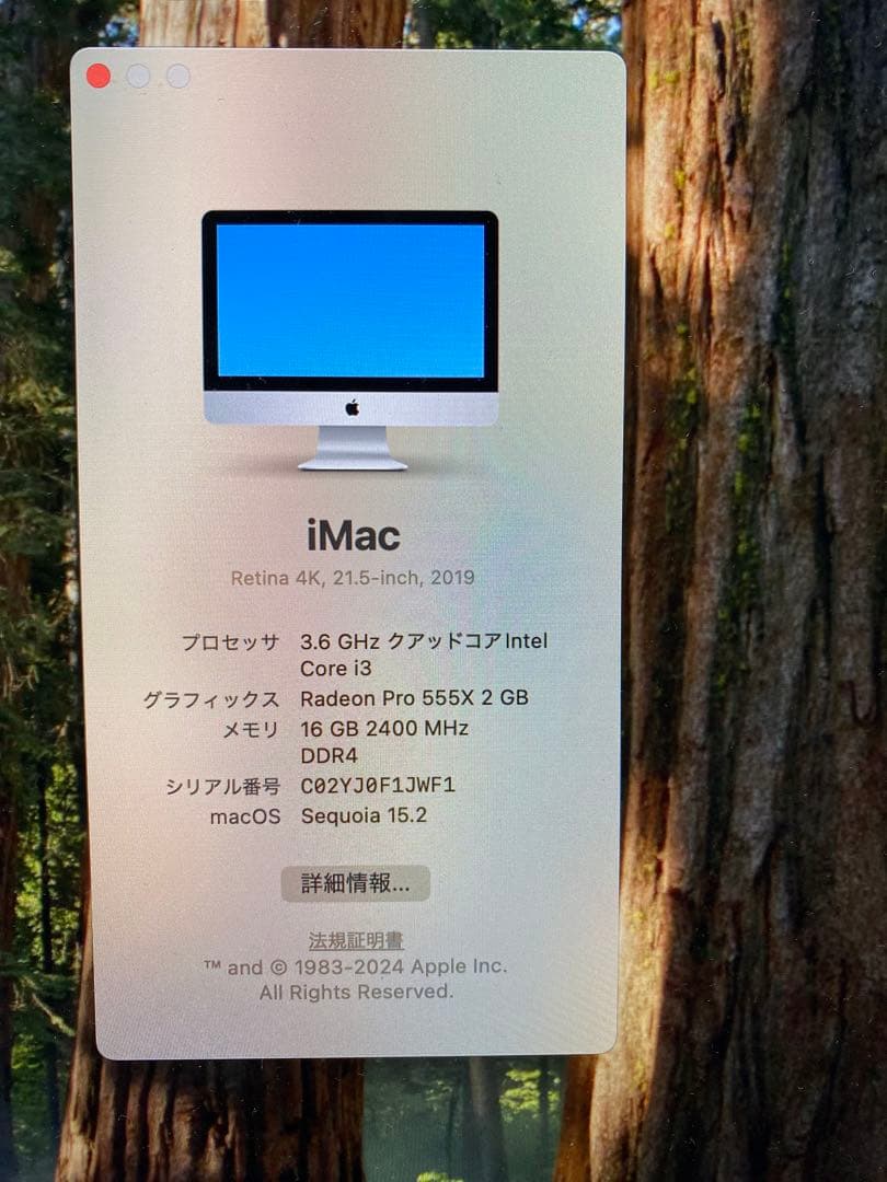 iMac Retina 4K 21.5インチ 2019 i3 マウスキーボード付