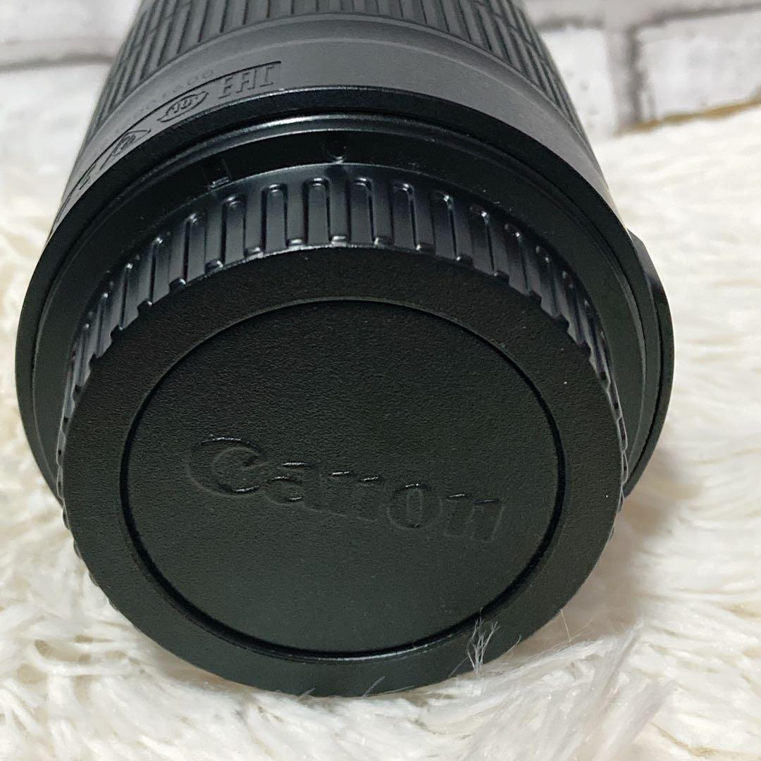 【極美品】 Canon EF-S 55-250mm F4-5.6 ISⅡ レンズ