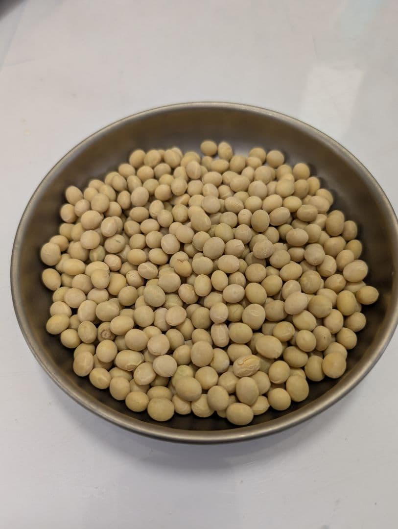 令和5年産　長野県産　ナカセンナリ　大豆 30kg　ラスト1