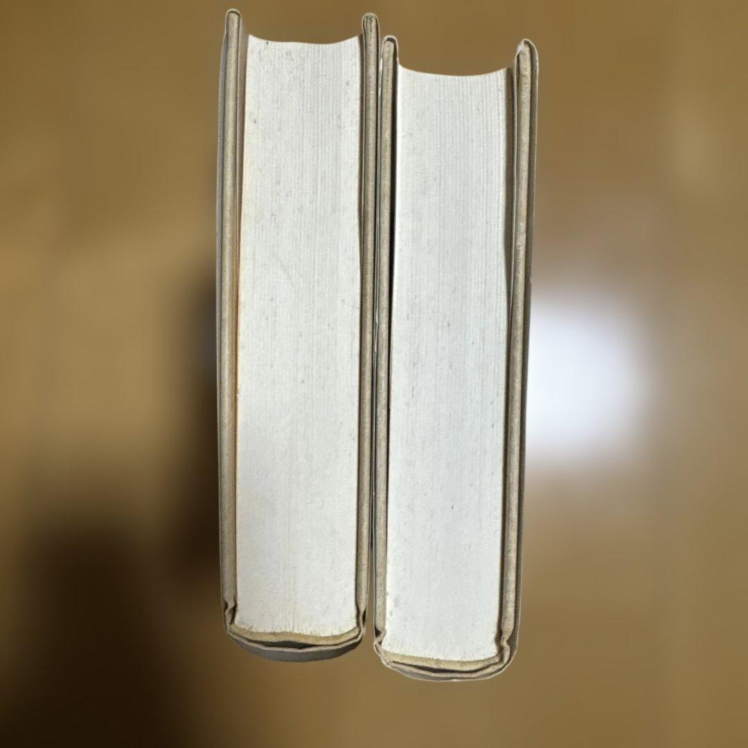 帯付きドゥルーズ シネマ 1運動イメージ 、シネマ 2時間イメージ