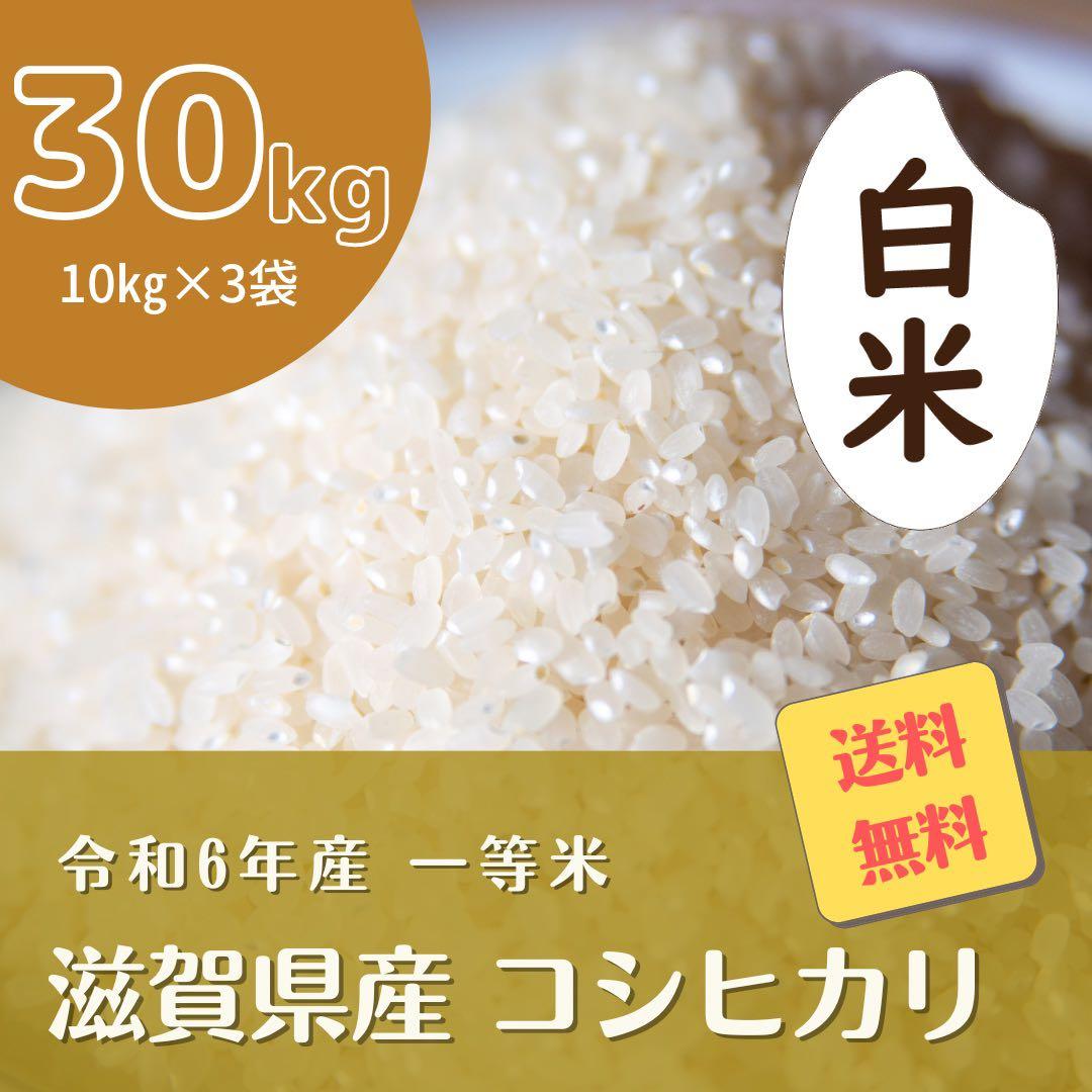 令和6年度産 コシヒカリ 30キロ 白米 送料無料！