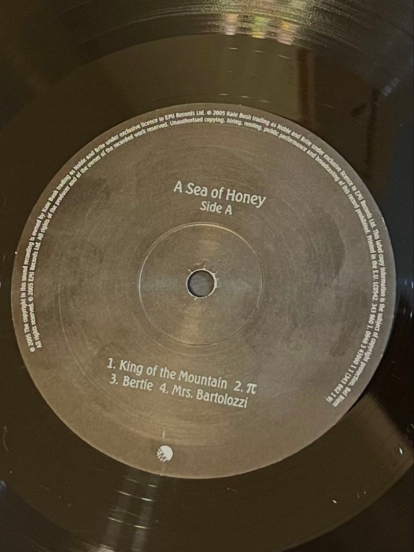 Kate Bush Aerial レコード　オリジナル盤