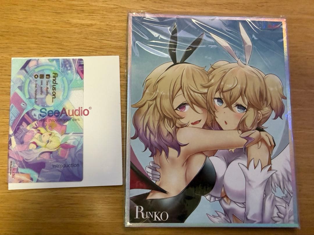 SeeAudio×Z Rivews Rinko(ブラック) 3.5mm