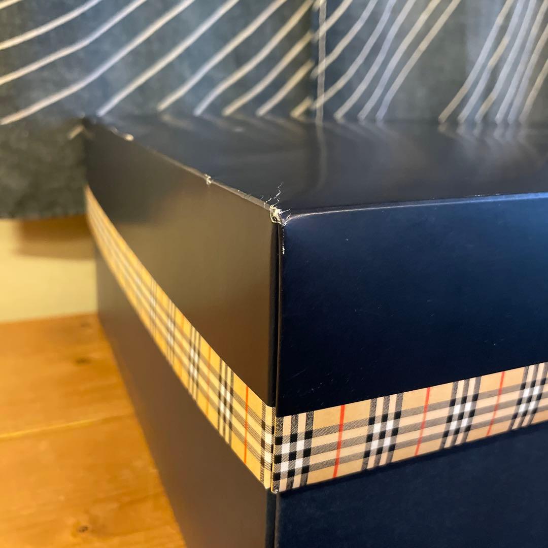 【未使用】Burberry 羽毛肌掛け布団 150×200　2枚　ペイズリー柄