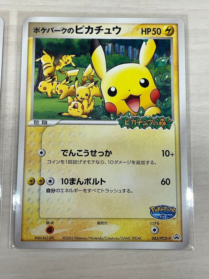 ポケパークのピカチュウ　ポケパークのアチャモ