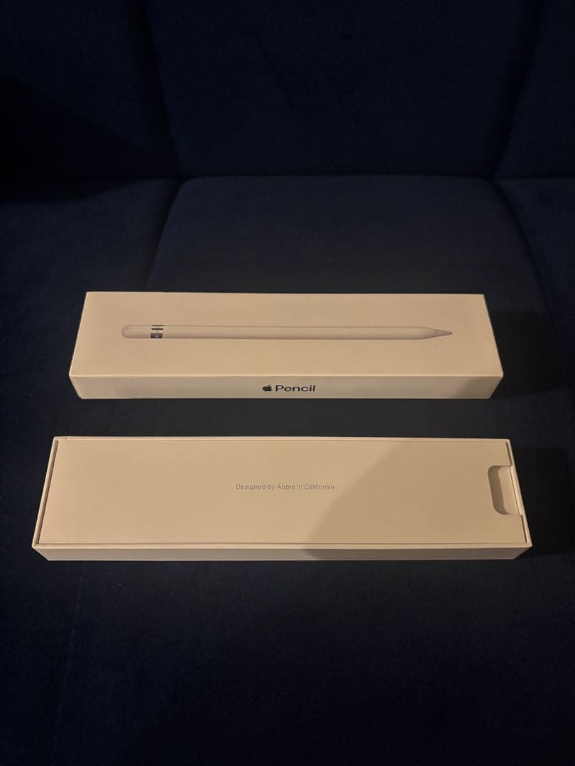 【新品未使用】Apple Pencil MK0C2AM/A （MK0C2J/A）