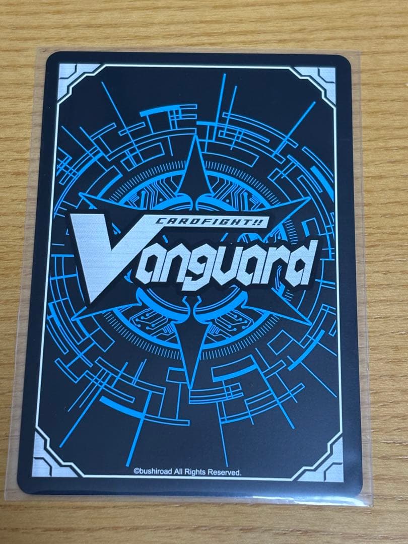 スノウスキップパルヴィLSR②