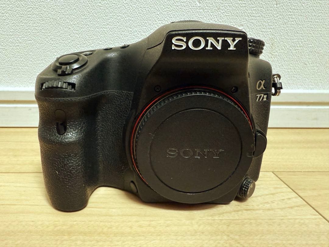 ソニー 一眼レフ α77II+DT 55-300mm F4.5-5.6 SAM