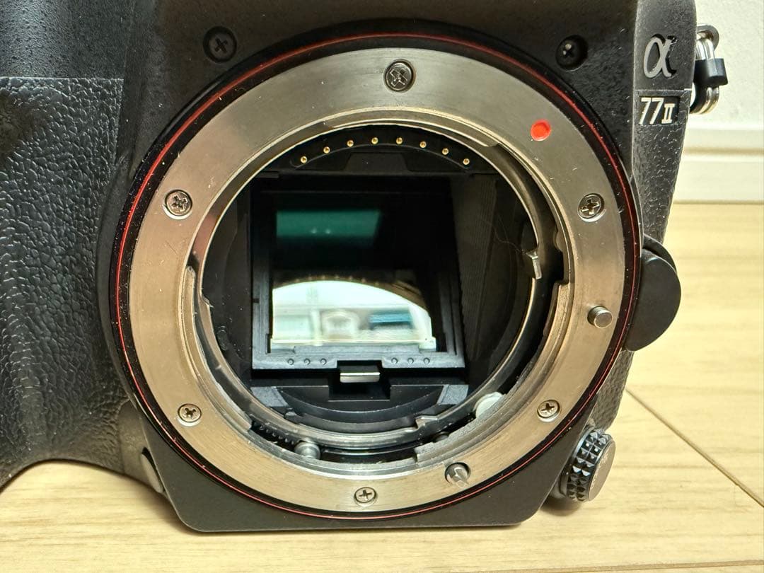 ソニー 一眼レフ α77II+DT 55-300mm F4.5-5.6 SAM