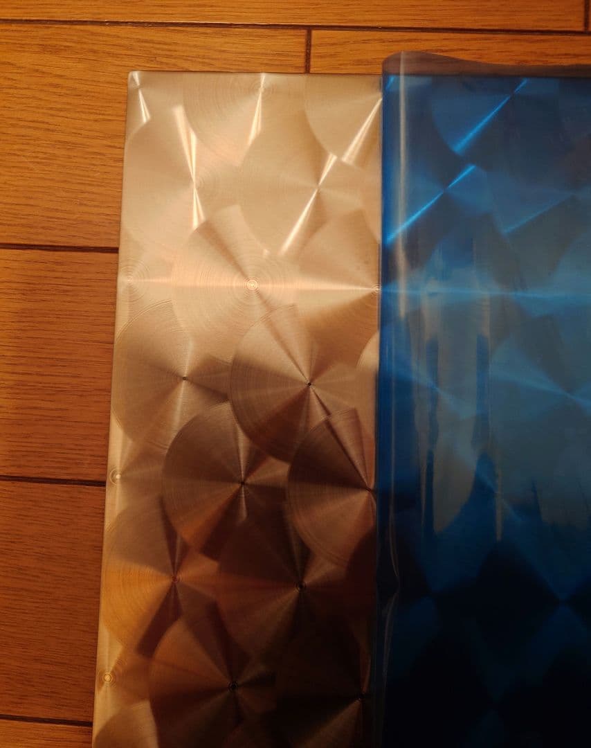 カズ　2㎜ ウロコステン