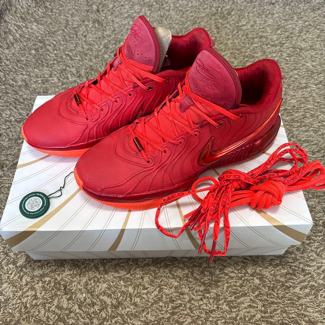 NIKE LEBRON XXⅡ EP 28.5cm