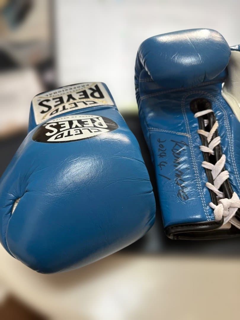 Reyes ボクシンググローブ