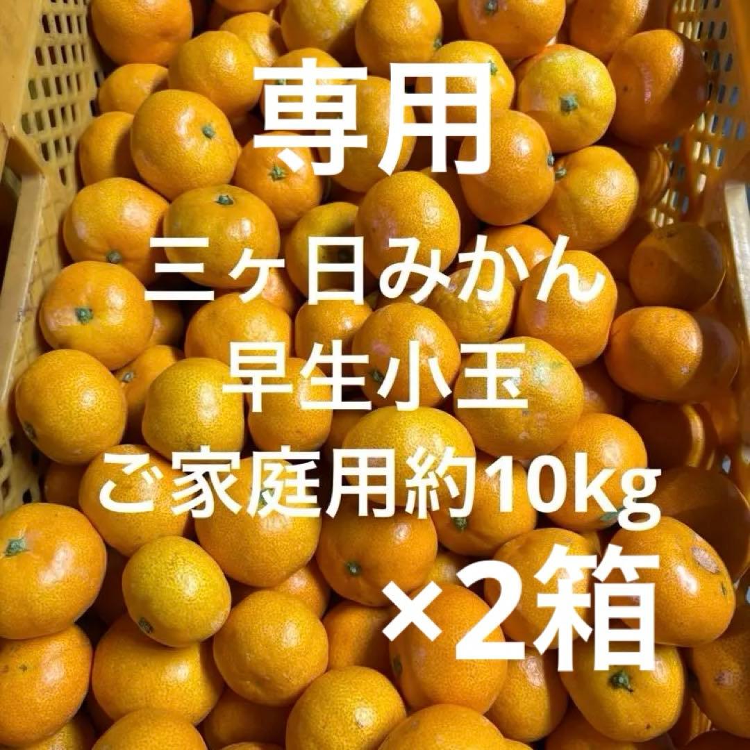 10 三ヶ日みかん　早生小玉　ご家庭用約10kg