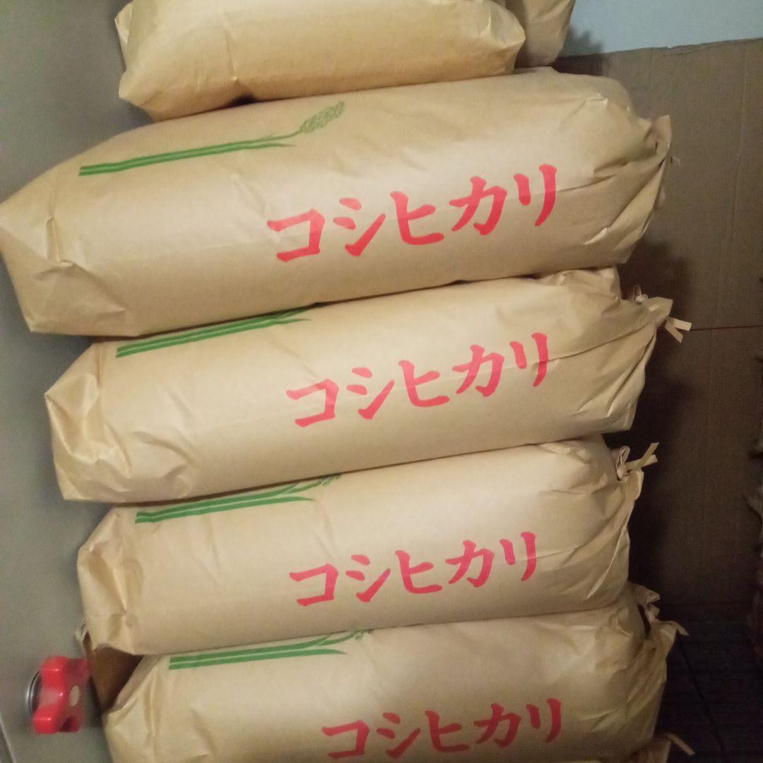 R7年産 新米 群馬県産 コシヒカリ 30キロ 玄米 送料込 ②